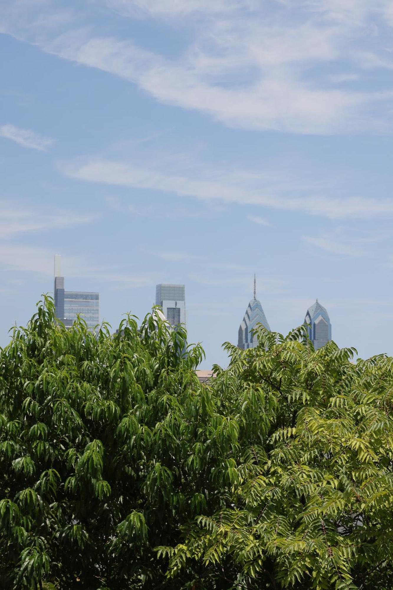 Peaceful Zen Getaway In The City Philadelphia Dış mekan fotoğraf